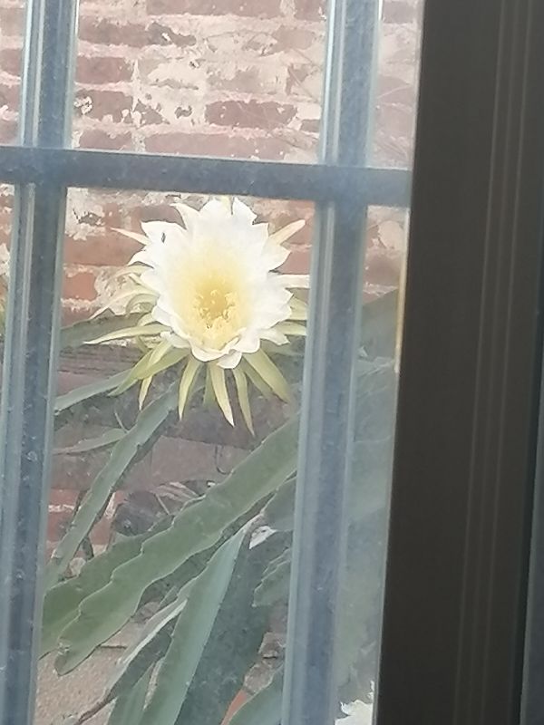 学校教室前面讲台应该设置三块黑板，这样更有利学生的身体发育