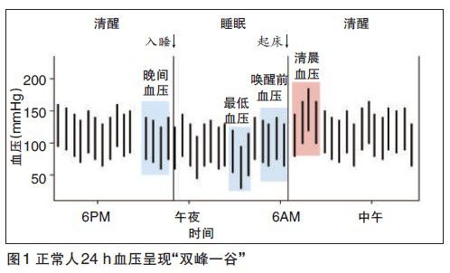 做动态血压多少钱看门诊之八