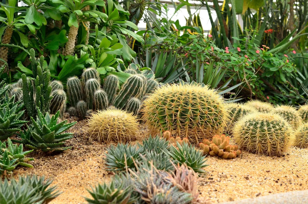 北京这个学校很“火”！坐拥3大花园、果园、动物园，集美貌与知识于一体！