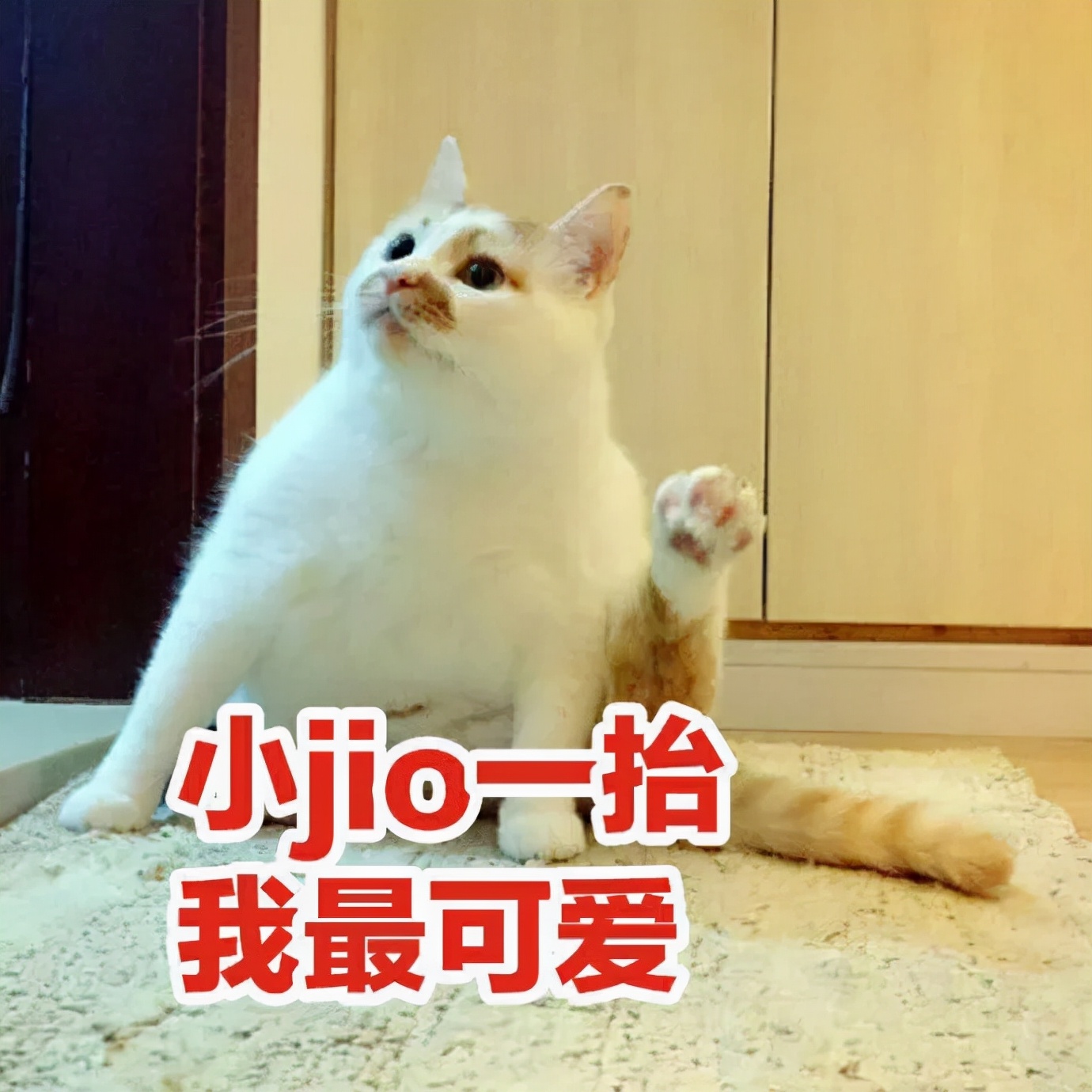 韓國后、雪花秀、呼吸、18款精華安瓶小樣使用心得