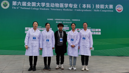 前列！接连捧回国家级、省部级2642项大奖，湖北这所大学实力爆棚