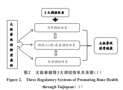 太极拳健骨机理