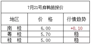 韶关今日肉鸭价格，今日肉鸭鸭苗价格