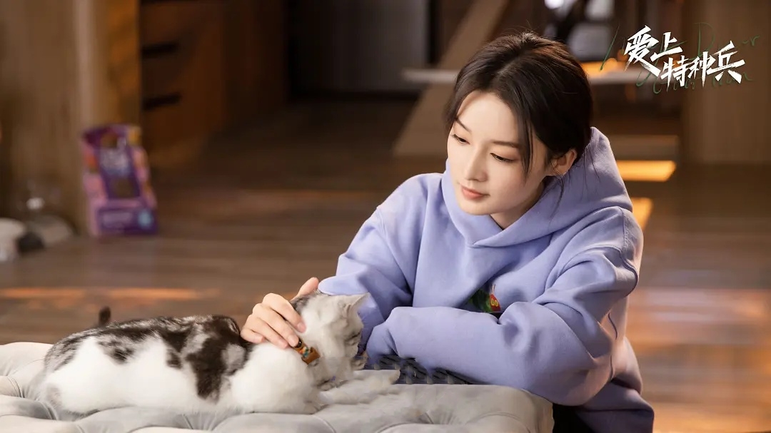 《爱上特种兵》：与其吐槽演技和剧情，不如学学如何立足职场