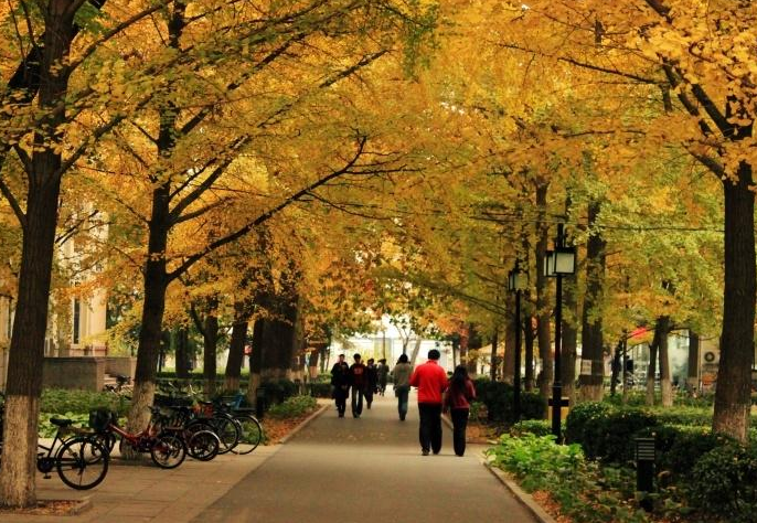 都是211，为何“北科”级别不如“北邮”？有着朝阳和夕阳差异