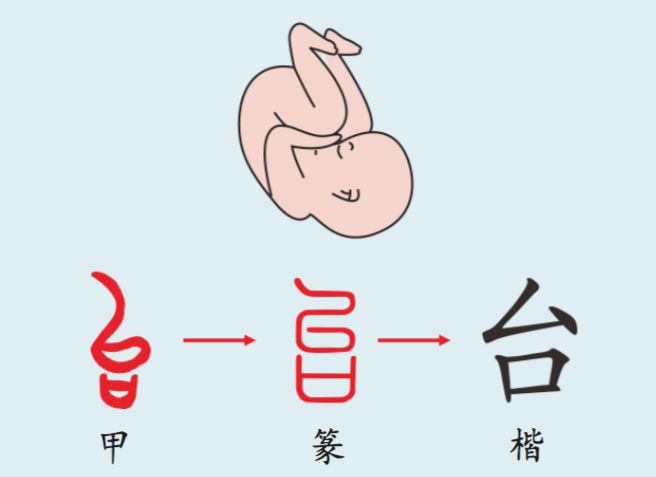 台的部首是什么偏旁怎么读（台的部首怎么念）-第2张图片-易算准