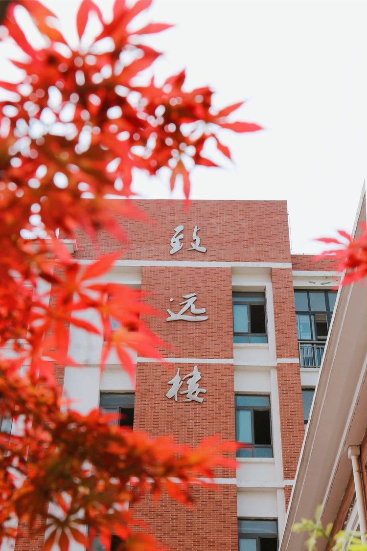 开发区实验学校：美矣美矣，开实芬芳“桃李”