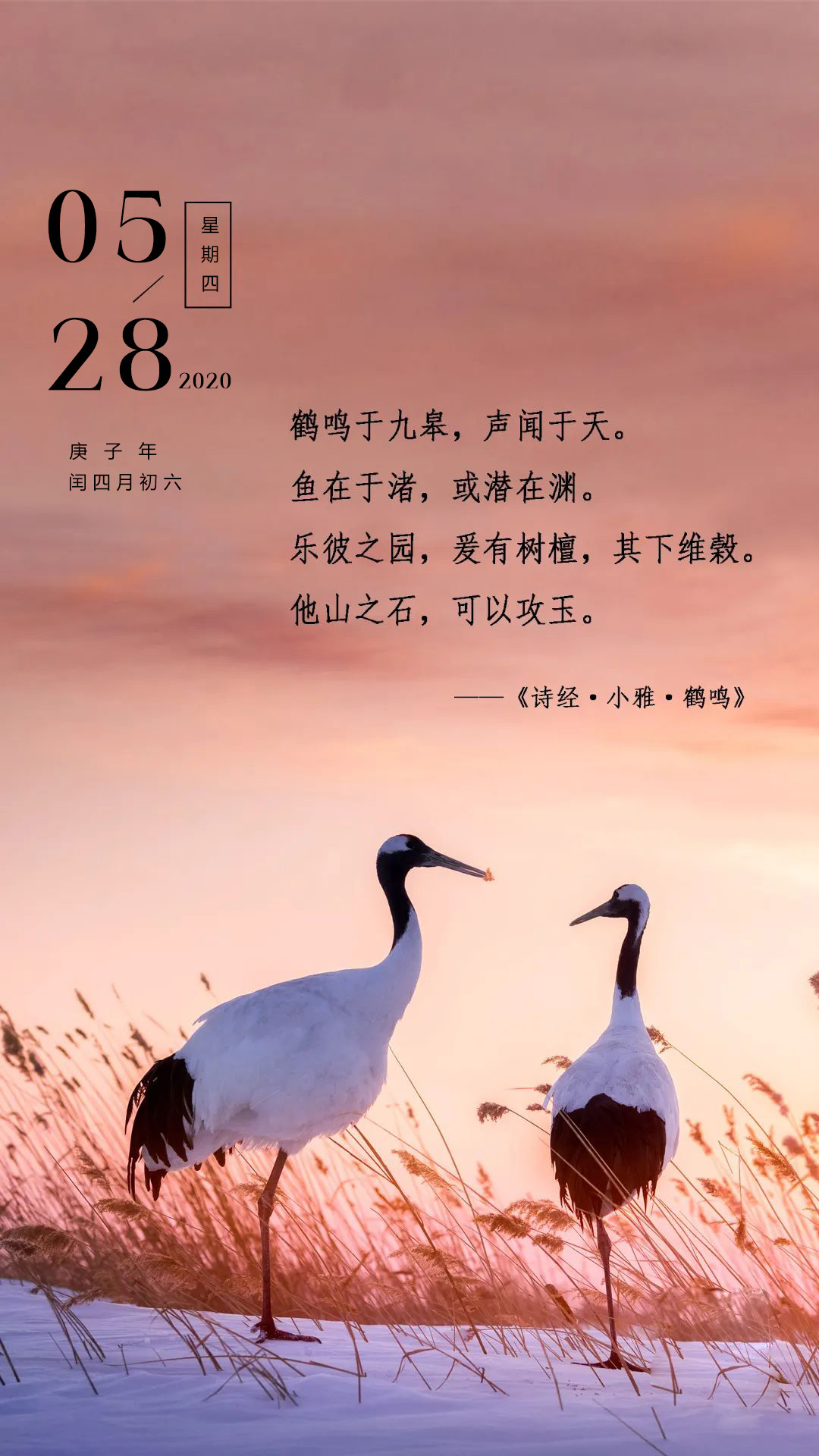 5.28早安日签图片励志句子：青葱岁月，如晨间旭日朝气鲜活