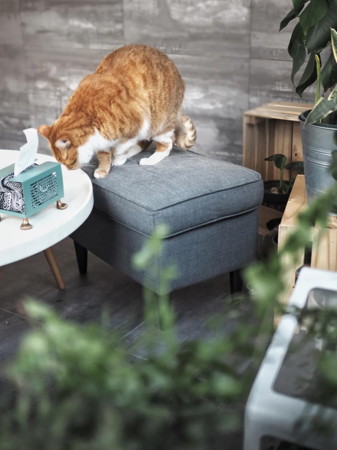 【親子宅設計精選】設計師夫婦曬133㎡親子宅：暗藏17處超強收納+絕美空中花園