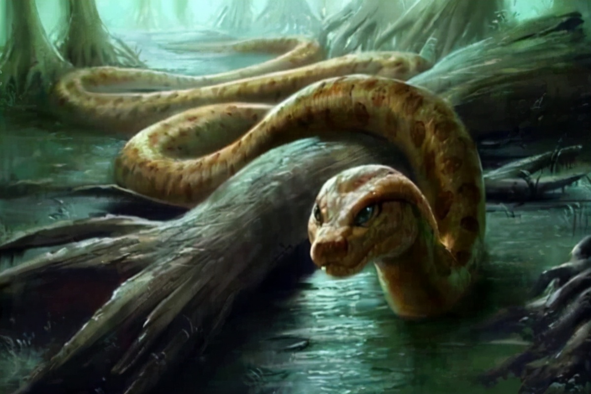 十大传说巨蛇:口吞恐龙的沃那比蛇仅第四 第一身长15米