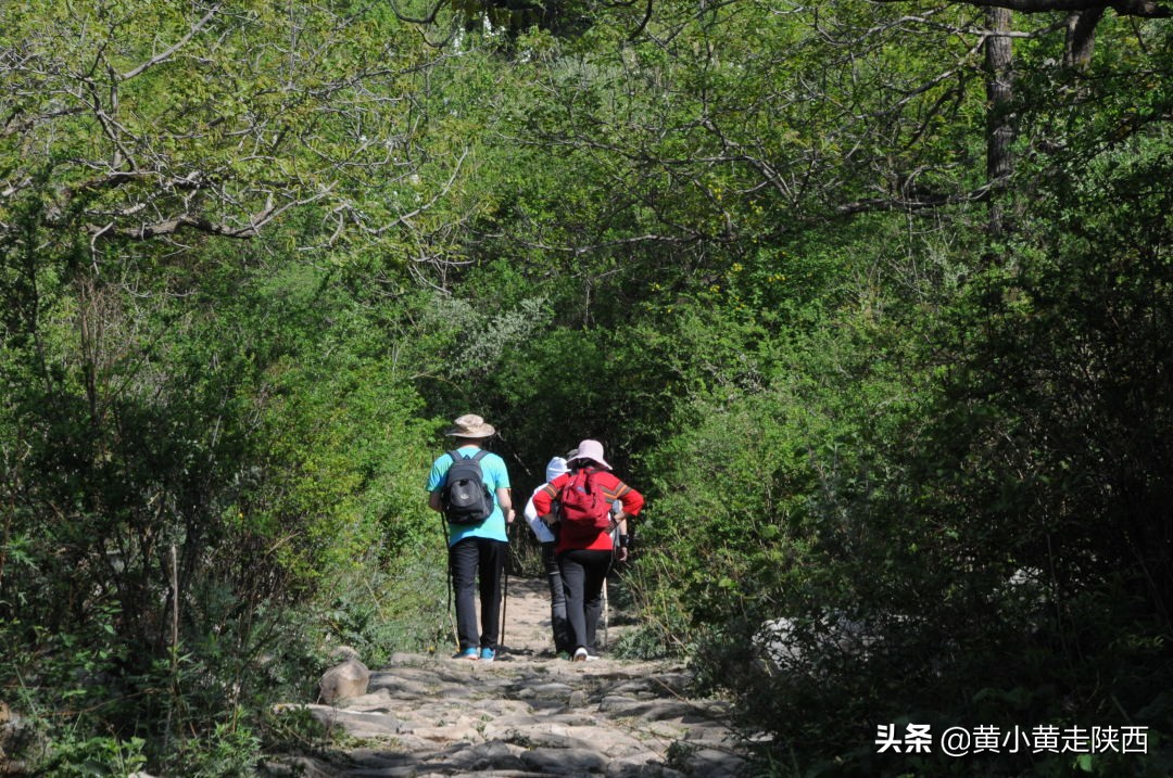 秦岭骨灰级自驾穿越线路，从西安到丹凤，翻越两条山脉一片盆地