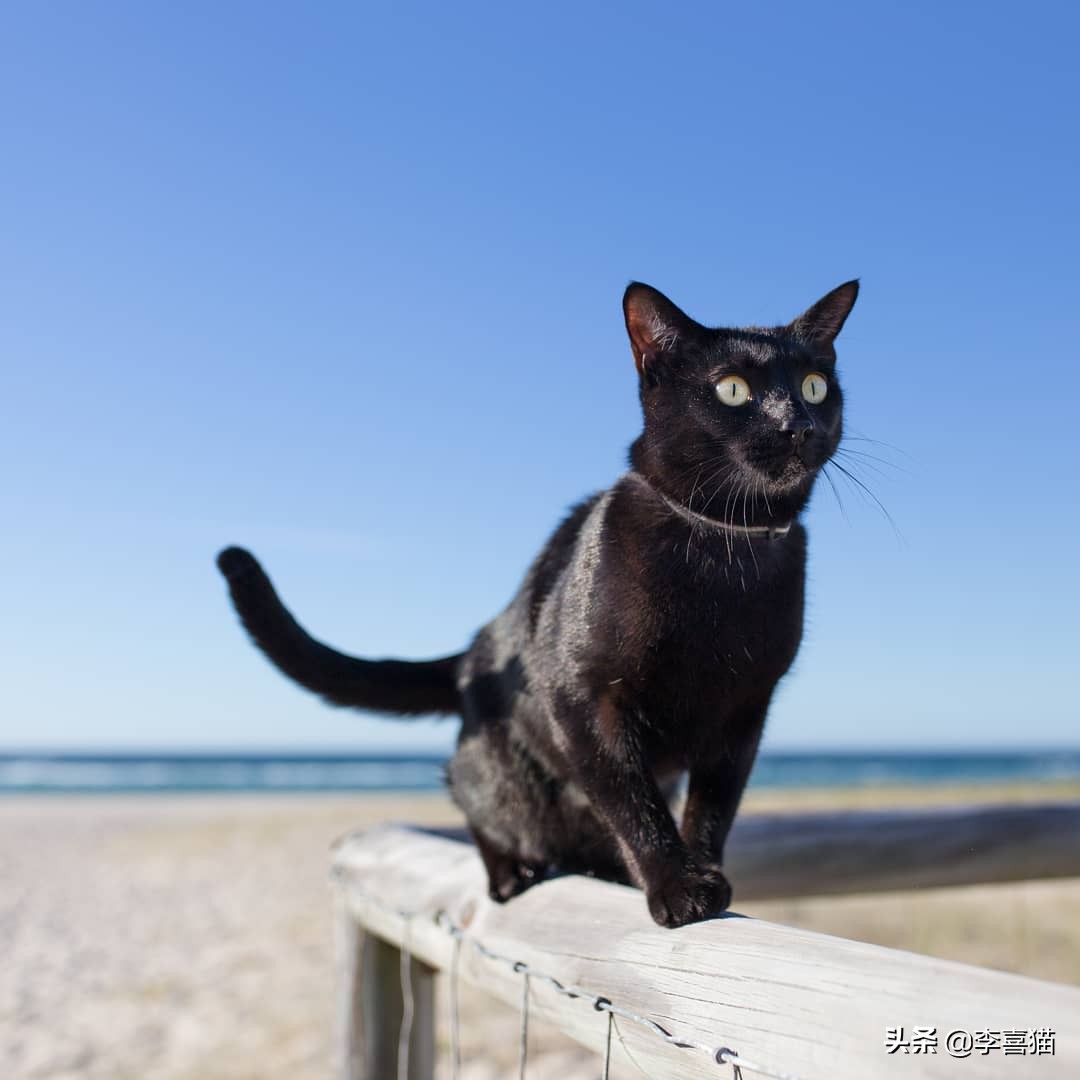 饮水机从顶部冒水是什么原因（饮水机从上面冒水）-第6张图片-华展网