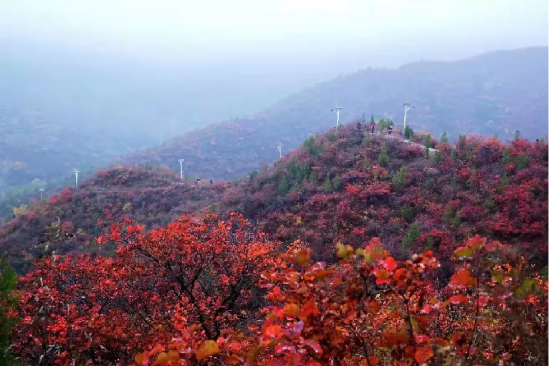 北京旅游点有哪些景点(中国旅游点有哪些景点)