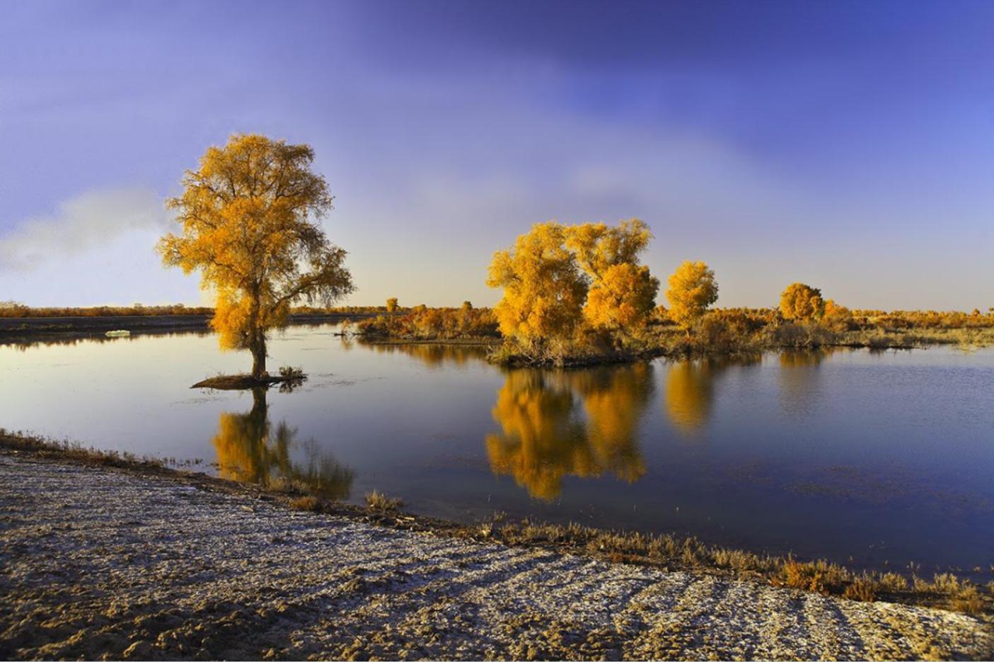 新疆阿拉尔市 阿拉尔市属于哪个市-起航号