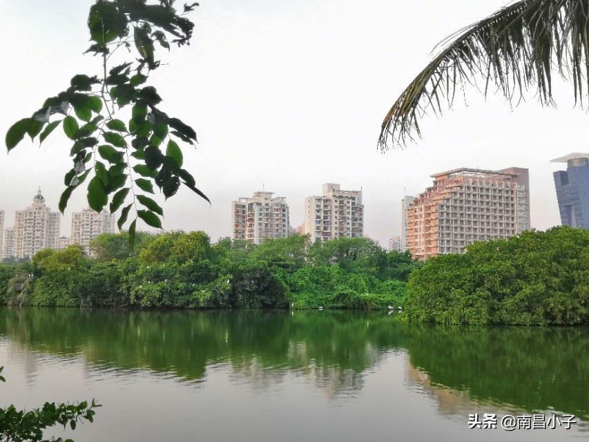 假省之名的双一流高等学府——海南大学VS内蒙古大学