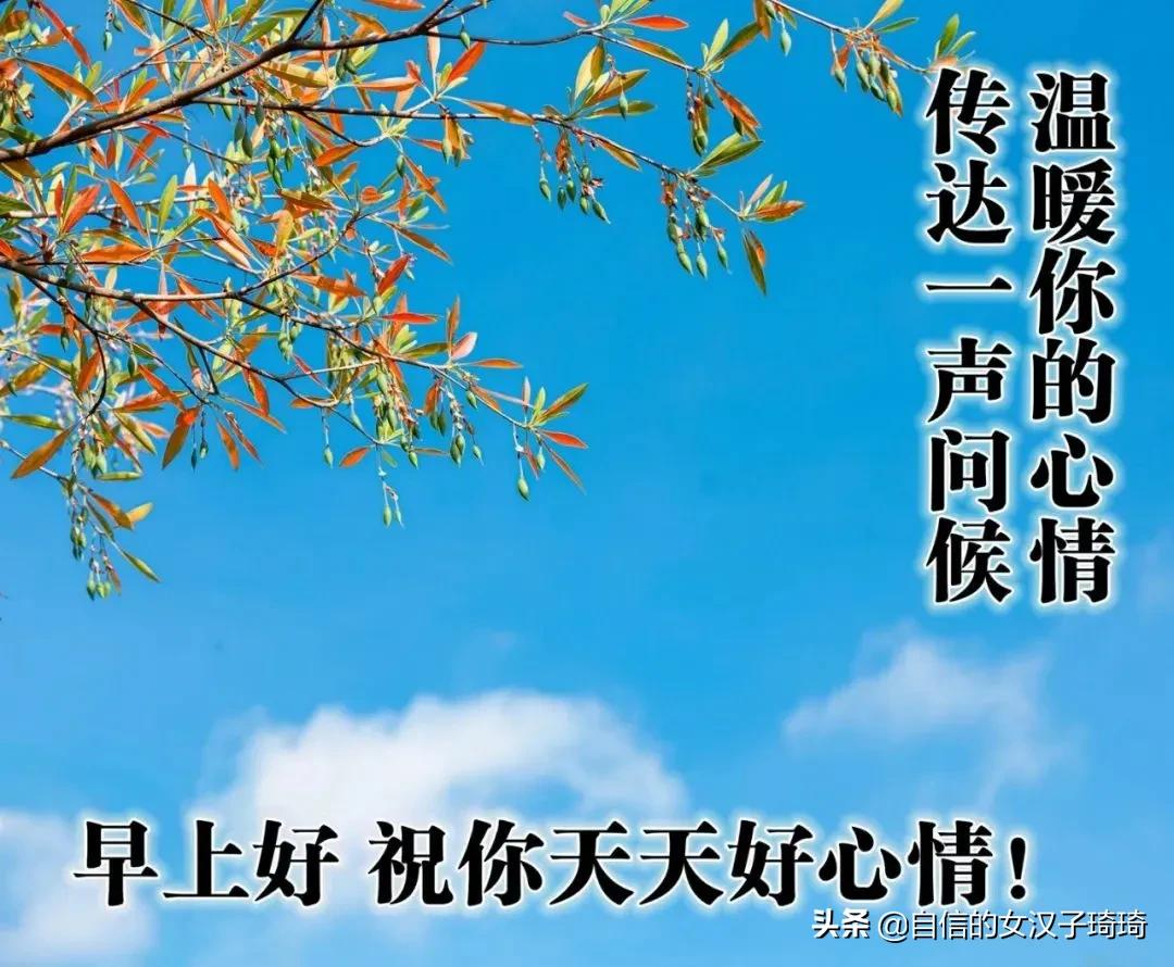 晚秋十月，愿你有衣暖身，有人暖心，不畏风霜，无惧忧伤。早安