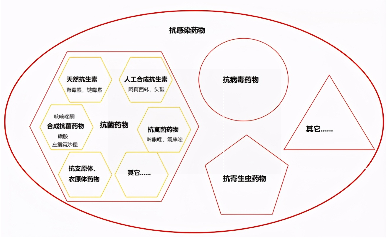 两大抗生素“阿莫西林”和“头孢”要认清，用对是宝，用错是害药