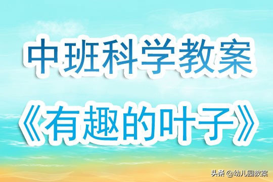 中班科学活动谁比较快公开课(幼儿园中班科学公开课教案《有趣的叶子》含反思)