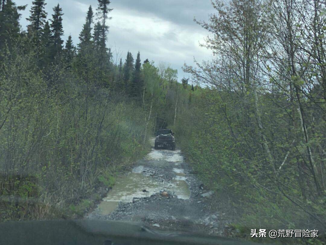 加拿大狩猎大黑熊，体验一次荒野猎人！七天六夜挑战不一样的旅行