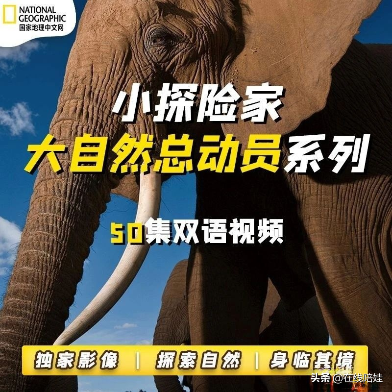 惊艳的视听盛宴，国家地理科普百科双语50集，孩子学习太适合了