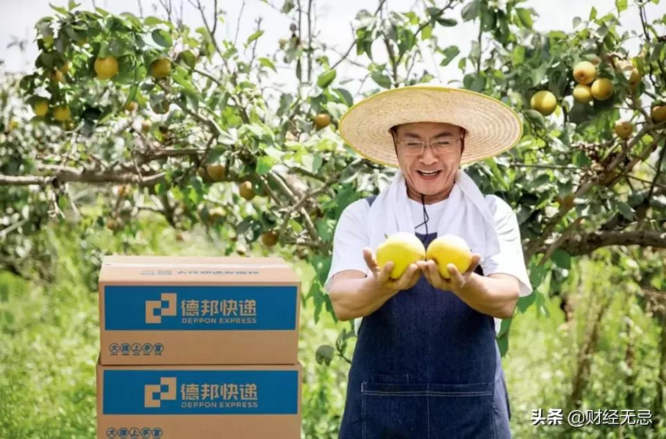 价格潮水褪去,长期主义者德邦迎来收获期
