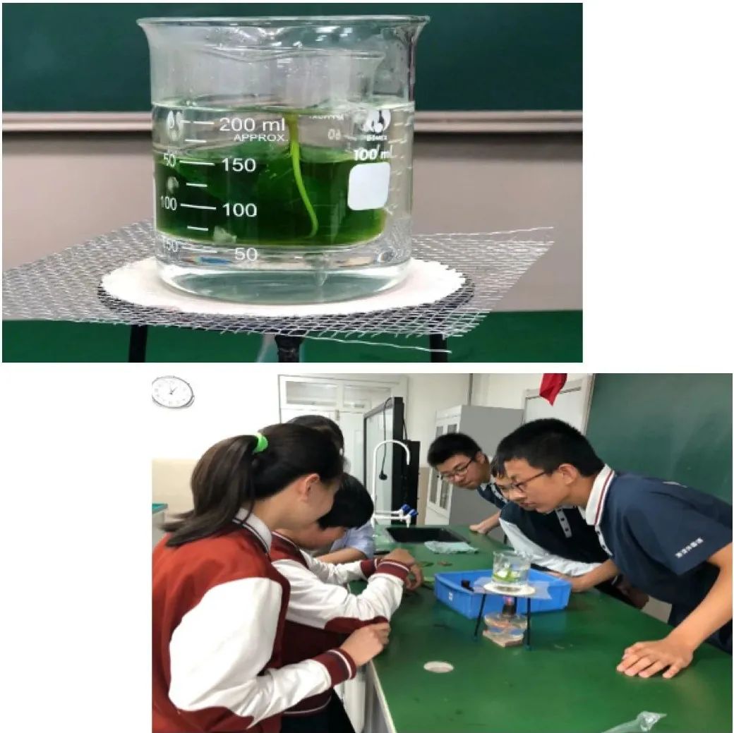 京郊这所学校，真真了不得