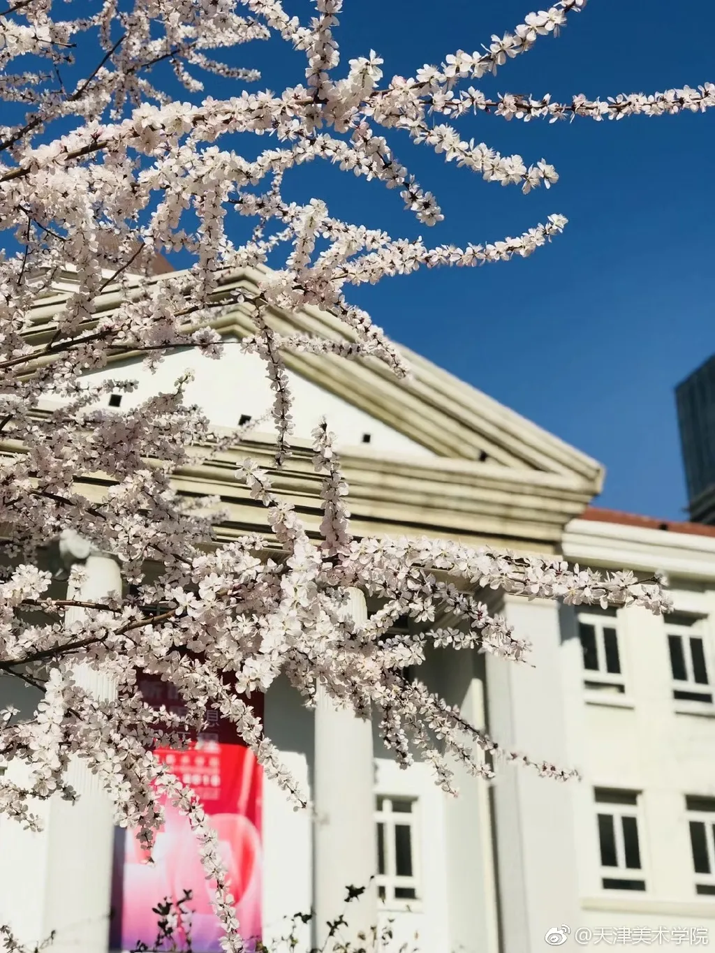 艺考资讯 | 九大美院的校园景色battle，也是神仙打架