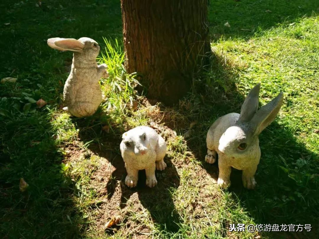 资讯｜昆明绝佳十大文艺拍照圣地，全部去过的请举手！