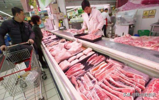 锦州今日猪肉价多少钱一斤（新发地猪肉批发价格今