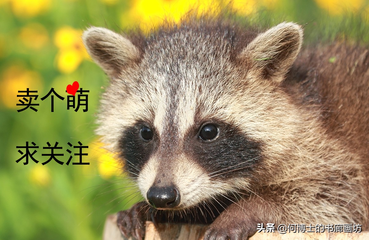 封神：详解雷公形象，告诉你雷震子为什么不是雷公