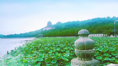 一湾妫水一城花：北京世园会呈现三千年的园艺传承