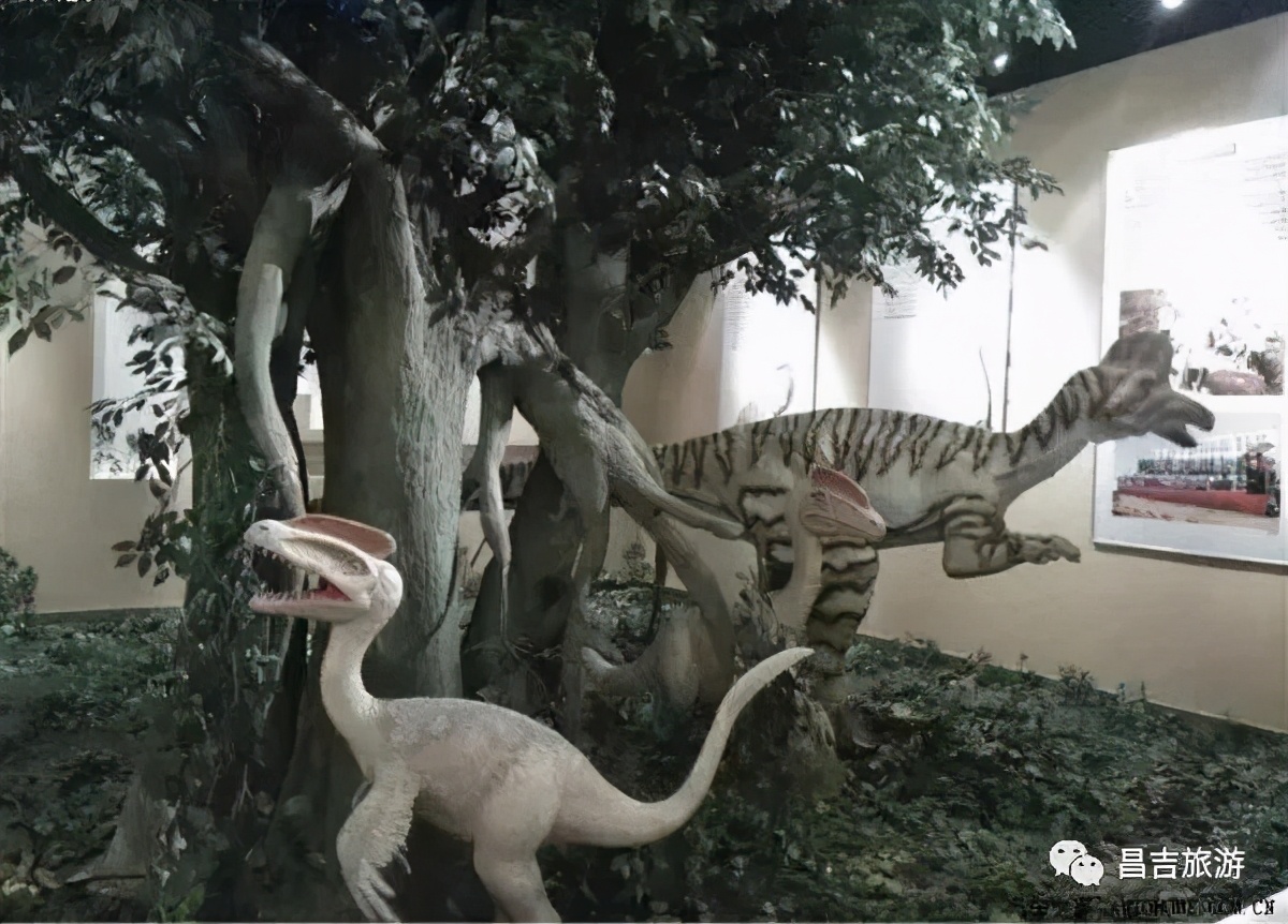 打卡昌吉丨来一场昌吉恐龙馆探险之旅，揭开恐龙背后的神秘面纱