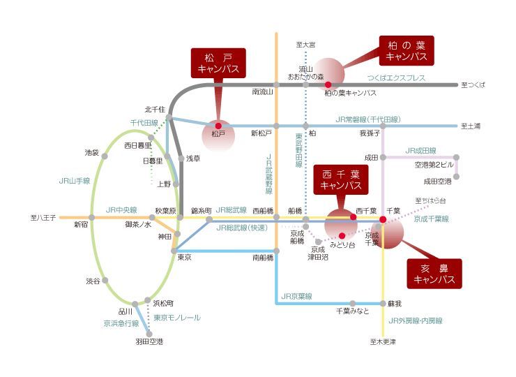 日本留学经历｜前辈眼里的日本千叶大学