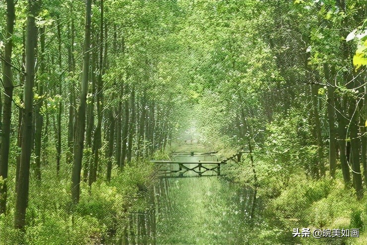 安徽最美五条自驾旅游路线，说走就走