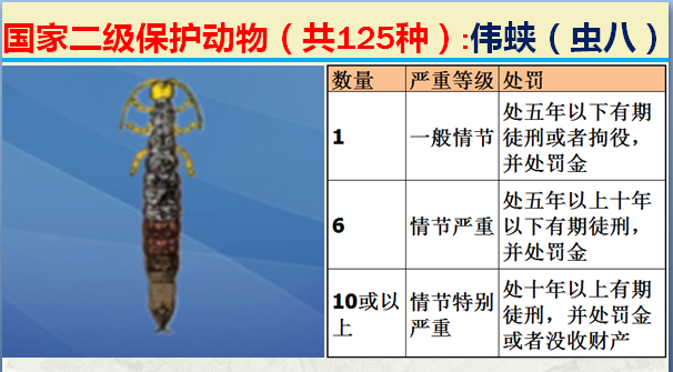 国家保护动物分几个等级（125类二级野生保护名录）