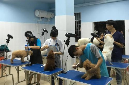 广东科贸职业学院招生计划专业介绍