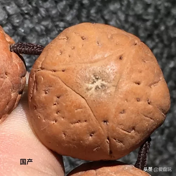 花了四位数,买了串凤眼,有人告诉我这是国产籽