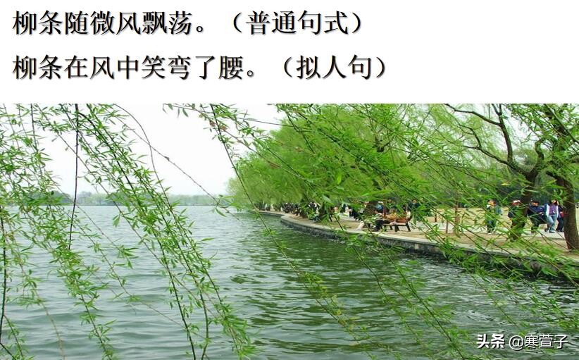 拟人句：让无生命的事物拥有人的动作或情感，使表达更生动形象。