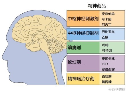 神经元结构示意图（神经元结构示意图手绘）-第34张图片-科灵网