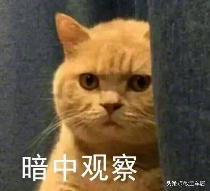 汽车脚垫选购指南请翻阅