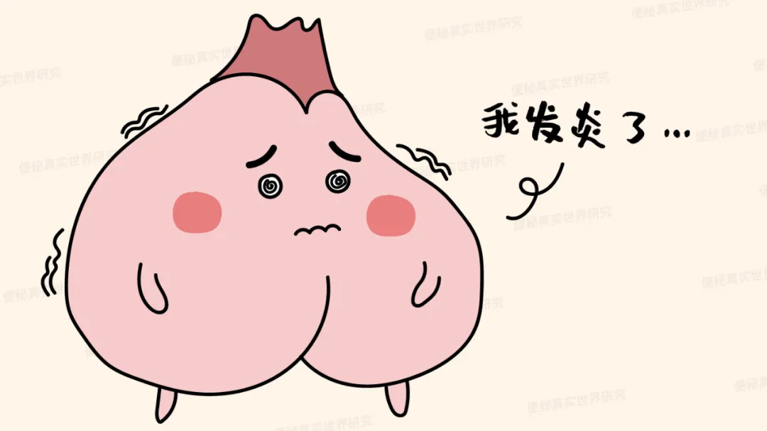 肛门又堵又痛,想拉也拉不出,医生却说不是便秘