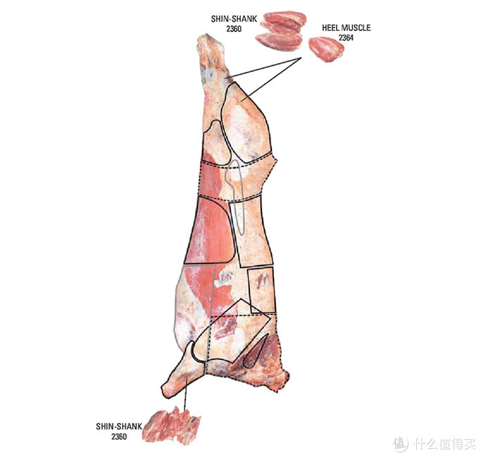 五花趾是牛的哪个部位（庖丁解牛所有部位专业大解析）