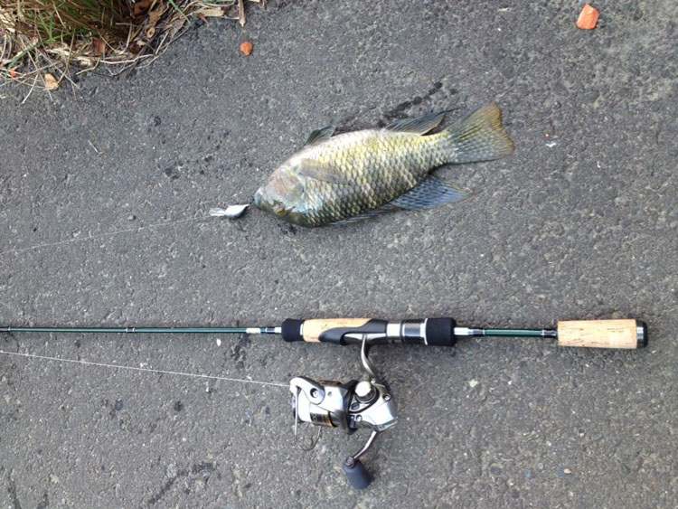 嘉兴男子钓鱼触碰高压电，衣服和头发都烧没了，脸变漆黑