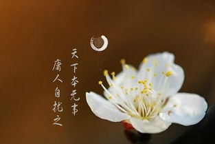 《增广贤文》浓缩成20句话：教你看清人间伪善、世态炎凉！