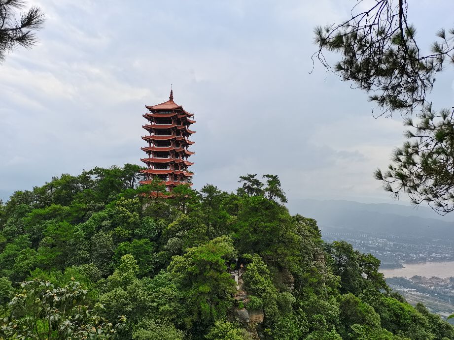 重庆缙云山(缙云山最强攻略——教你如何在一日内从山顶玩到山脚)