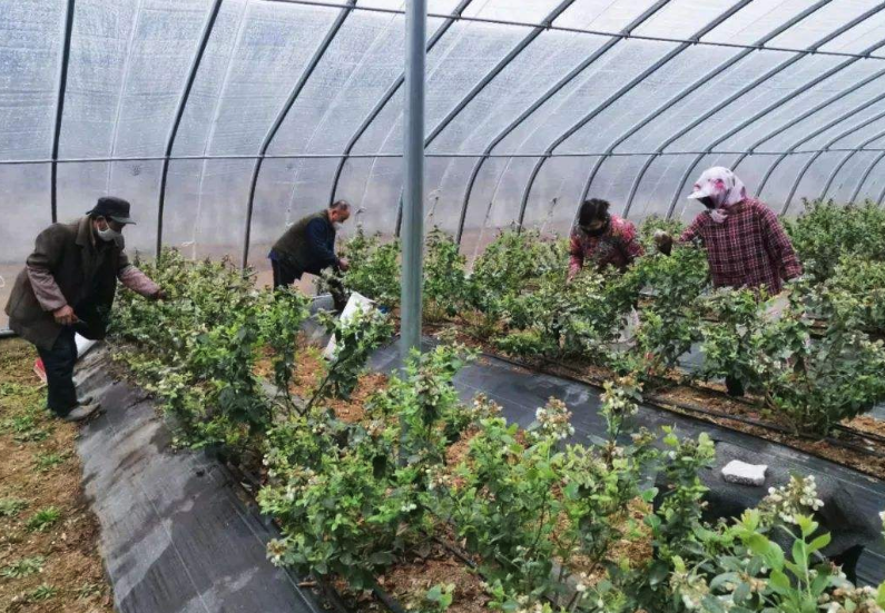 农村的低保标准线5336元，贫困标准线2300元！这两者有什么区别？