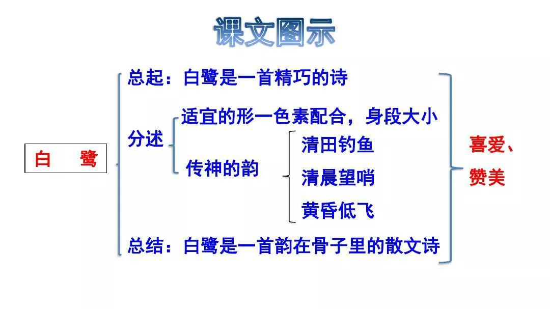 五年级语文上册第一课《白鹭》课文解析,暑假预习的好帮手