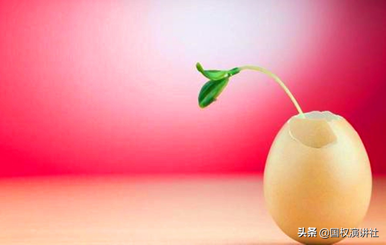 花数千元学口才真的没必要，一个有良知的老师揭开培训界乱象