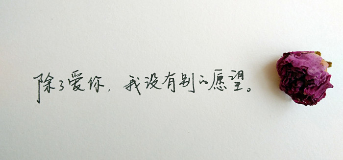 好想牵着你的手，看东边的日出，看湖面的灯火枫晚