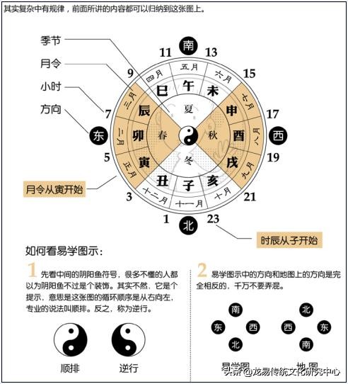 地支的阴阳属性及运行规则是什么？